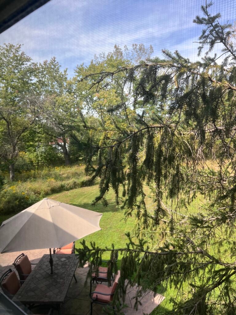 Mature trees and wooded grounds at The Wayback Cleveland vacation rental near Chagrin Falls